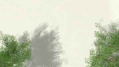 Bushy Tree Shadows Blowing on Wall Video stock 319882274
