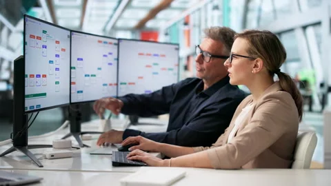 Business Analyst And Developer Discussing Automated Workflow System Stock Footage 336365931