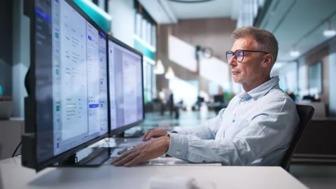 Business Analyst Reviewing Documents On Computer Stock Footage 344711388