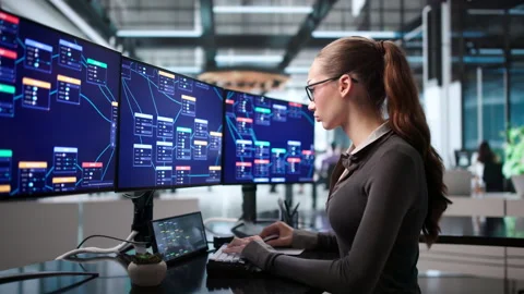 Business Analyst Using Low Code Platform Stock Footage 343887641