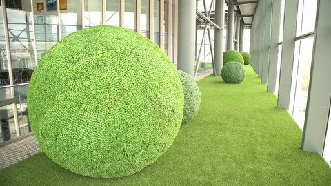 Business building interior greenery. 動画素材 116336893