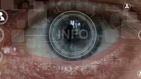 Business button info network Information security interface eye imprint Stock Footage 73591201