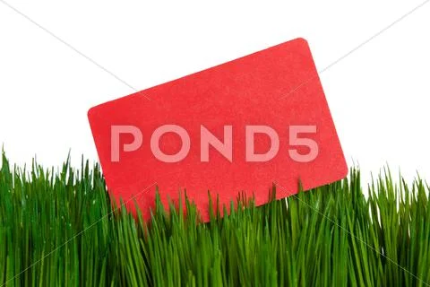 Business Card and green grass Stock Photos
