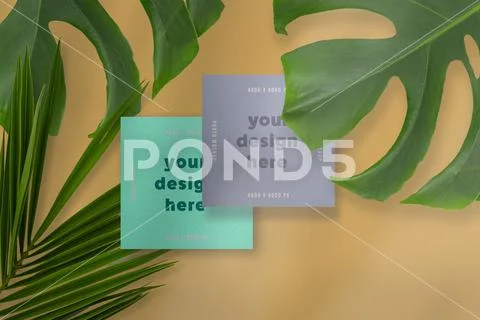 Business Card Mockup PSD Template
