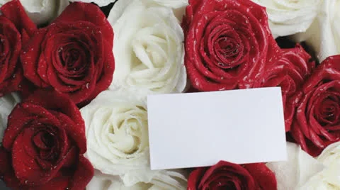 Business card on roses 스톡 동영상 24806883