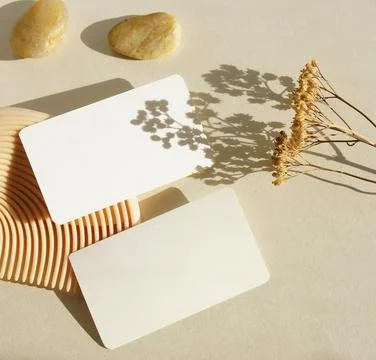 Business cards mockup, empty white blank, dry flower and sunlight shadow top vie Stock Photos