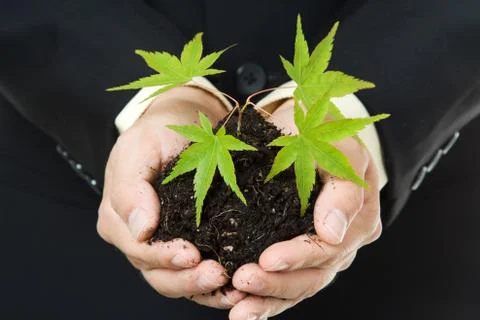 Business concept Stock Photos