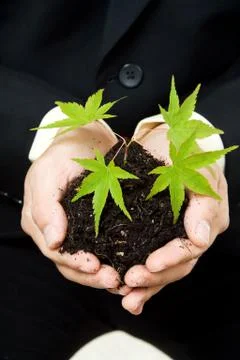 Business concept Stock Photos