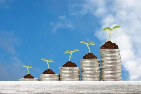 Business concept with stacks of coins with growing plants against blue sky ba Stock Photos