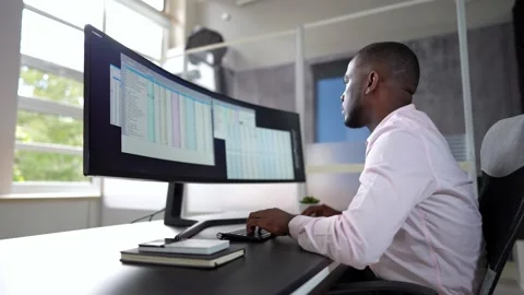 Business Data Audit Spreadsheet Stock Footage 215590270