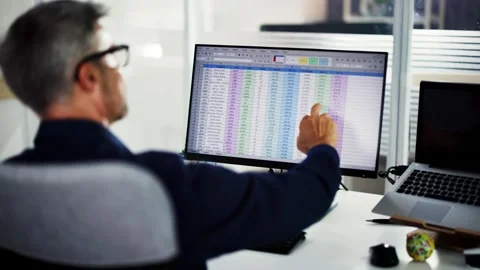 Business Data Audit Spreadsheet Stock Footage 250239325