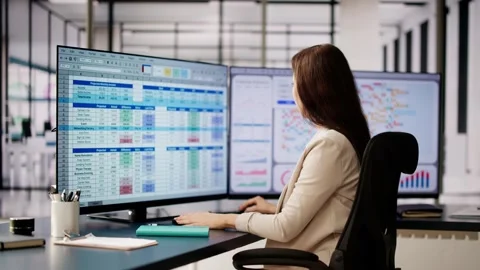Business Data Audit Spreadsheet Stock Footage 267294058