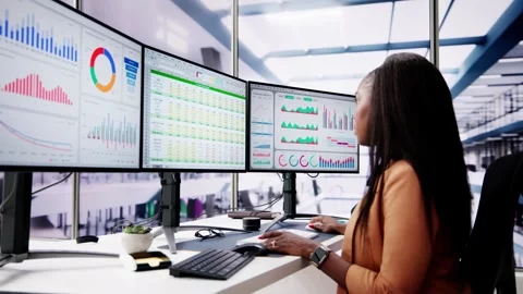 Business Data Audit Spreadsheet Stock Footage 276239753
