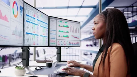 Business Data Audit Spreadsheet Stock Footage 276241015