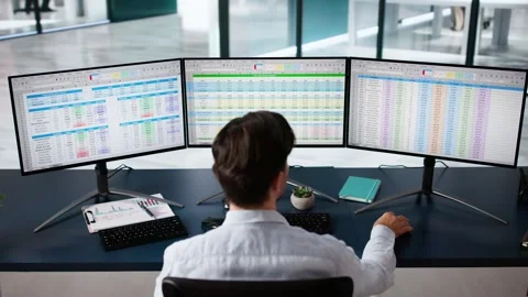 Business Data Audit Spreadsheet Stock Footage 288567012