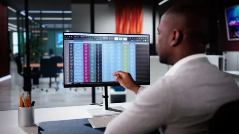 Business Data Audit Spreadsheet Stock Footage 293938749
