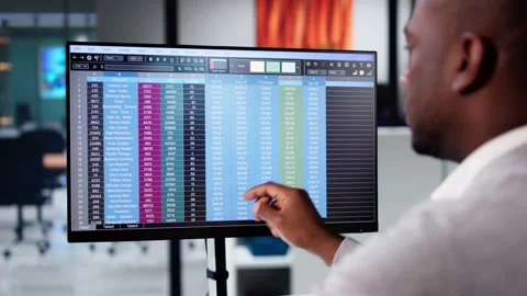 Business Data Audit Spreadsheet Stock Footage 293940658