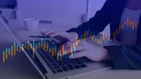 Business data dashboard for dashboard and graphic design. Stock Footage 314630787