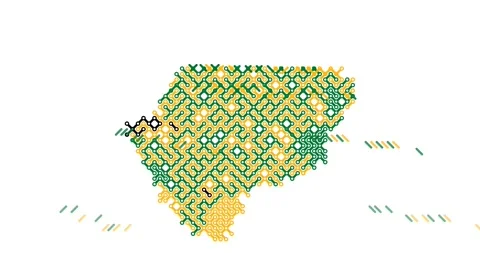 Business Data Visualization Lesotho Map Lines Stock Footage 324563301