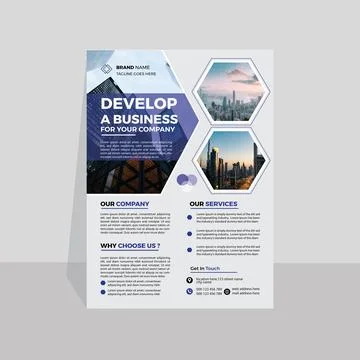 Business Development and Services Flyer Design Illustrazione stock