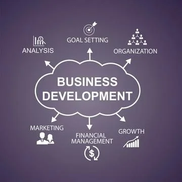 Business development diagram with analysis goals and growth Stockillustratie