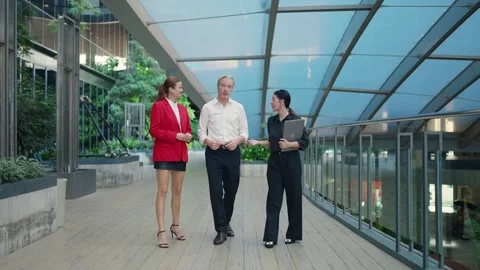 Business discussion Видео 333734955