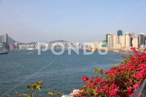 Business district in Hong Kong, China. hk Stock Photos