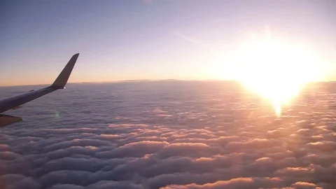 Business FLight  Timelapse Stock Footage 98503440