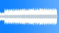 Business Freedom Stock Music