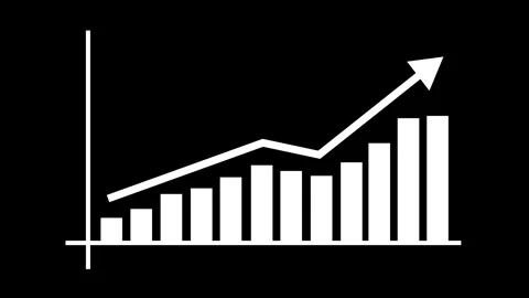 Business Growth Analytics Dashboard with Rising Revenue Bar Chart Animation Stock Footage 337011348