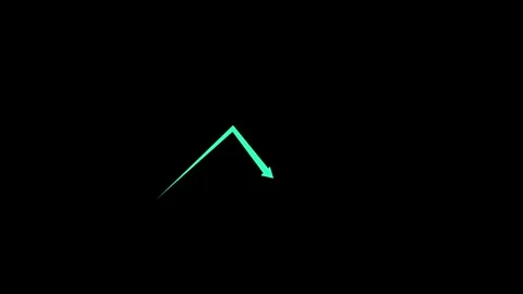 Business growth graph chart animation Black colour background. Stock Footage 297376821