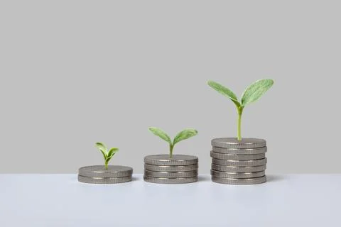 Business growth process Foto stock