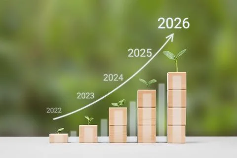 Business growth process 스톡 사진