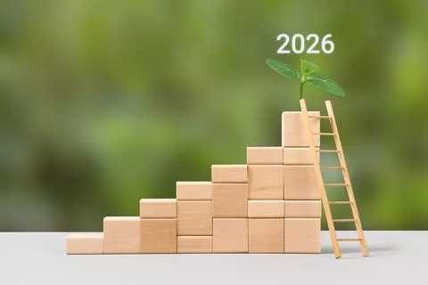 Business growth process 스톡 사진