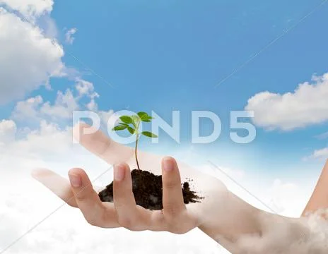 Business hand holding green small plant over blue sky with cloud Stock Photos