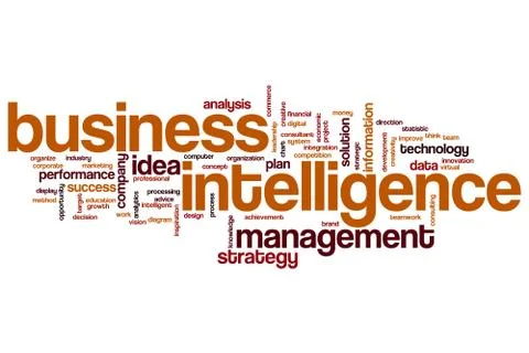 Business intelligence word cloud 스톡 일러스트
