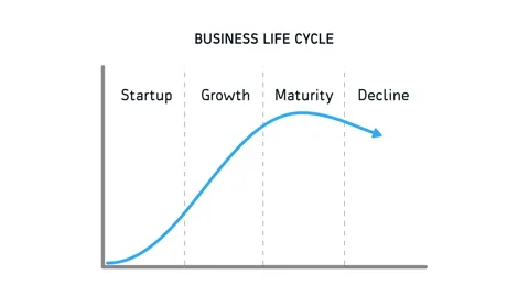 Business Life Cycle Chart Diagram Animat... | Stock Video | Pond5