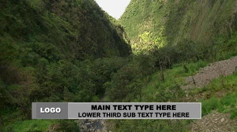 Business Line Lower Third Pack After Effects stock
