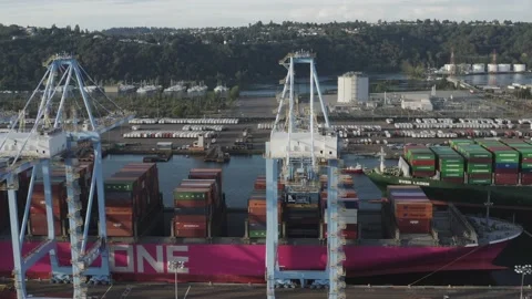 Business Logistic Import And Export Freight Transportation By Container Stock Footage 197740351