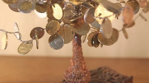 Business Lucky Tree 1 mid shot up Stock Footage 72005253