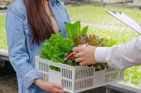 Business man checking report with friendly woman farmer holding vegetable Stock Photos