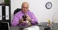 Business Man Count Dollars Economy Save Legal Earn Money Cash Wealth Concept 4k or 4k+ Resolution