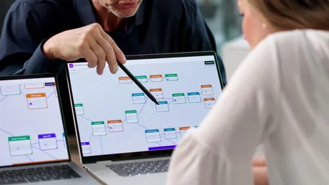 Business Manager And Software Engineer Collaborating Stock Footage 335877830