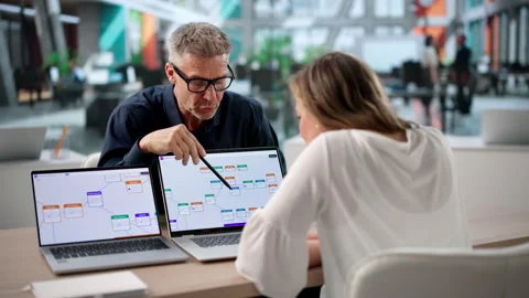 Business Manager And Software Engineer Collaborating Stock Footage 337225966