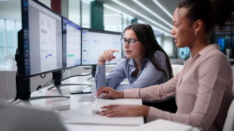 Business Managers Using System For Invoice Stock Footage 329682181