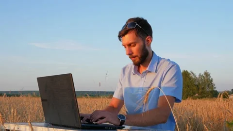 Business men at remote work. A young man works for a laptop in a wheat field. Stock Footage 136821859