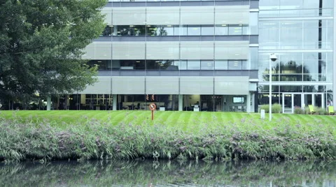 Business men walking in lawn Vídeo Stock 59396693