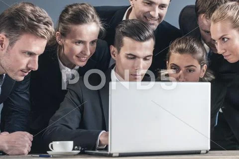 Business people using laptop Stock Photos