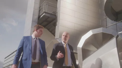 Business Professionals Walk While Talking Stock Footage 208785953