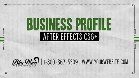 Business Profile Stock After Effects